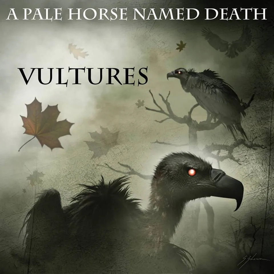 Vultures cover