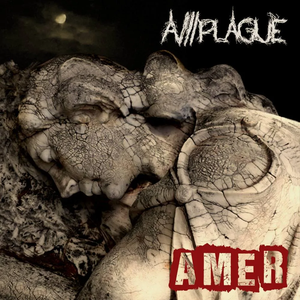 Amer cover