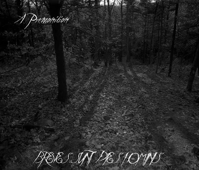 Breves Sunt Dies Hominis cover