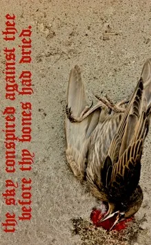 The Sky Conspired Against Thee Before Thy Bones Had Dried cover