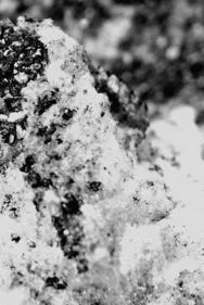 A Pregnant Light / Deeper Wells cover