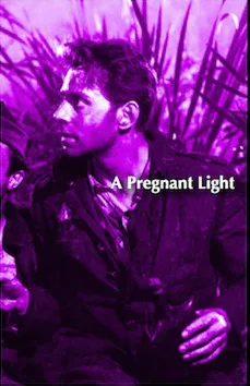 Domination Harmony cover