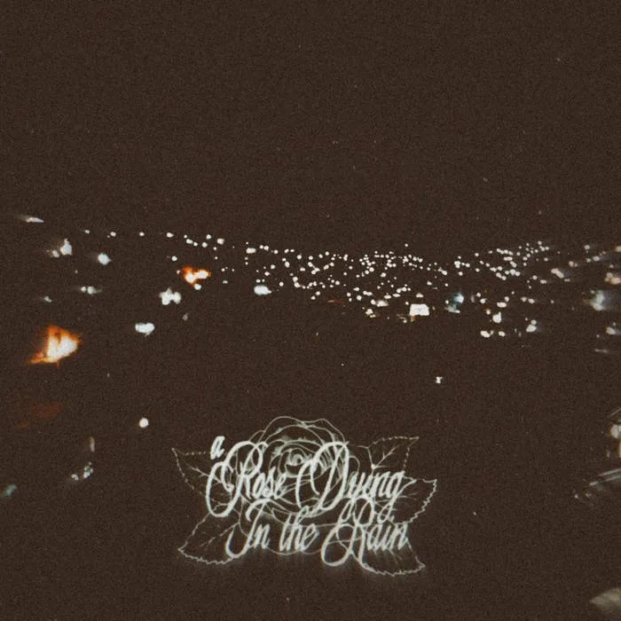 Through the Infinity of Her Eyes cover