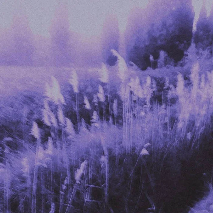 Sky of Fading Lights cover