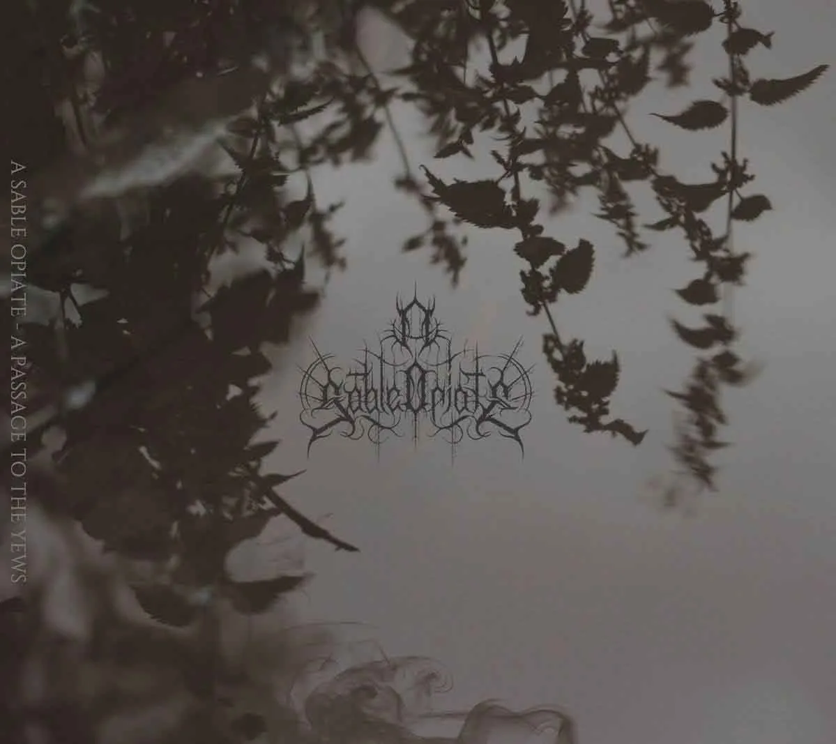 A Passage to the Yews cover