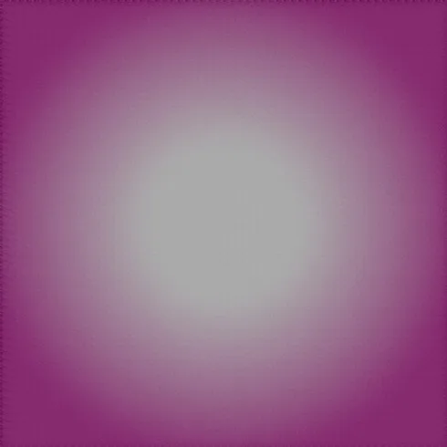 From Birth to Slaughter cover