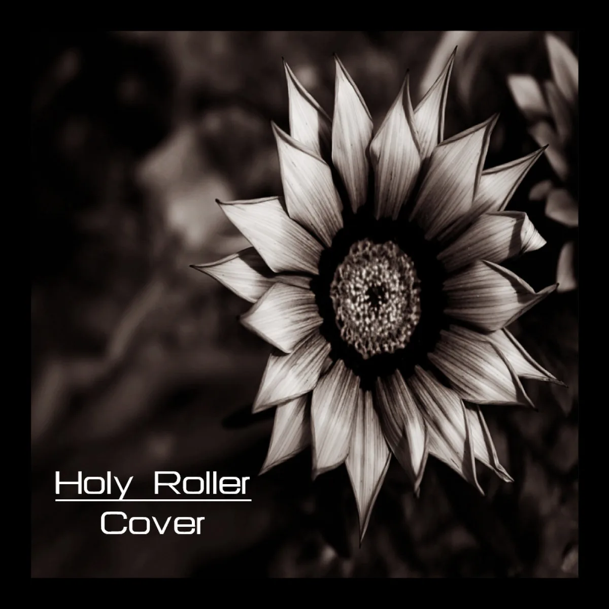 Holy Roller cover