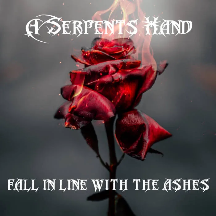 Fall in Line with the Ashes cover