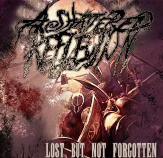 Lost but Not Forgotten cover
