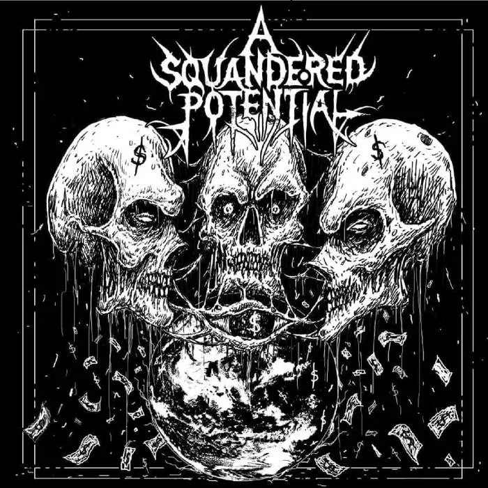 A Squandered Potential cover