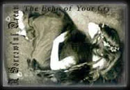 The Echo of Your Cry cover