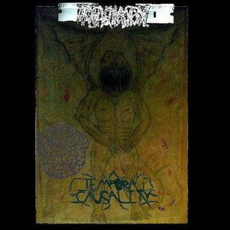 A Temporal Causality / xIxCxSxPx / Traumatic Brain Injury cover