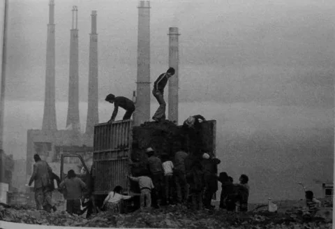 Cadàvers al riu cover