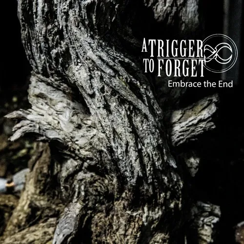 Embrace the End cover