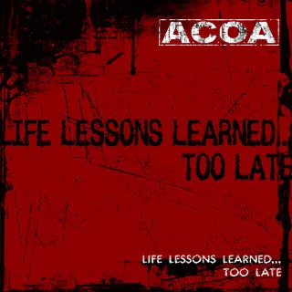 Life Lessons Learned...Too Late cover