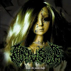 Inside the Plastic Body cover