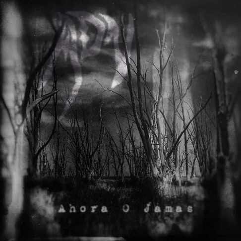 Ahora o jamás cover