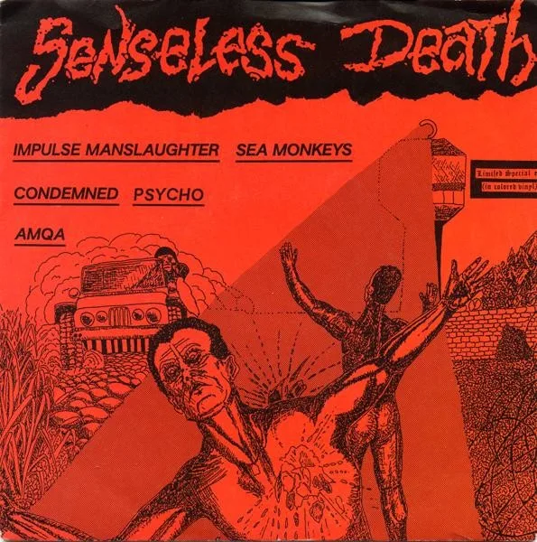 Senseless Death cover
