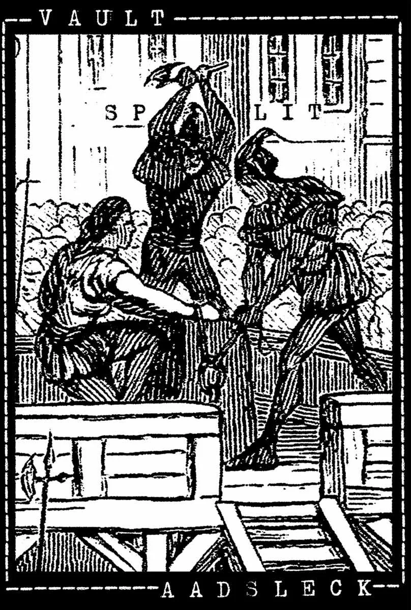 Vault / Aad Sleck cover