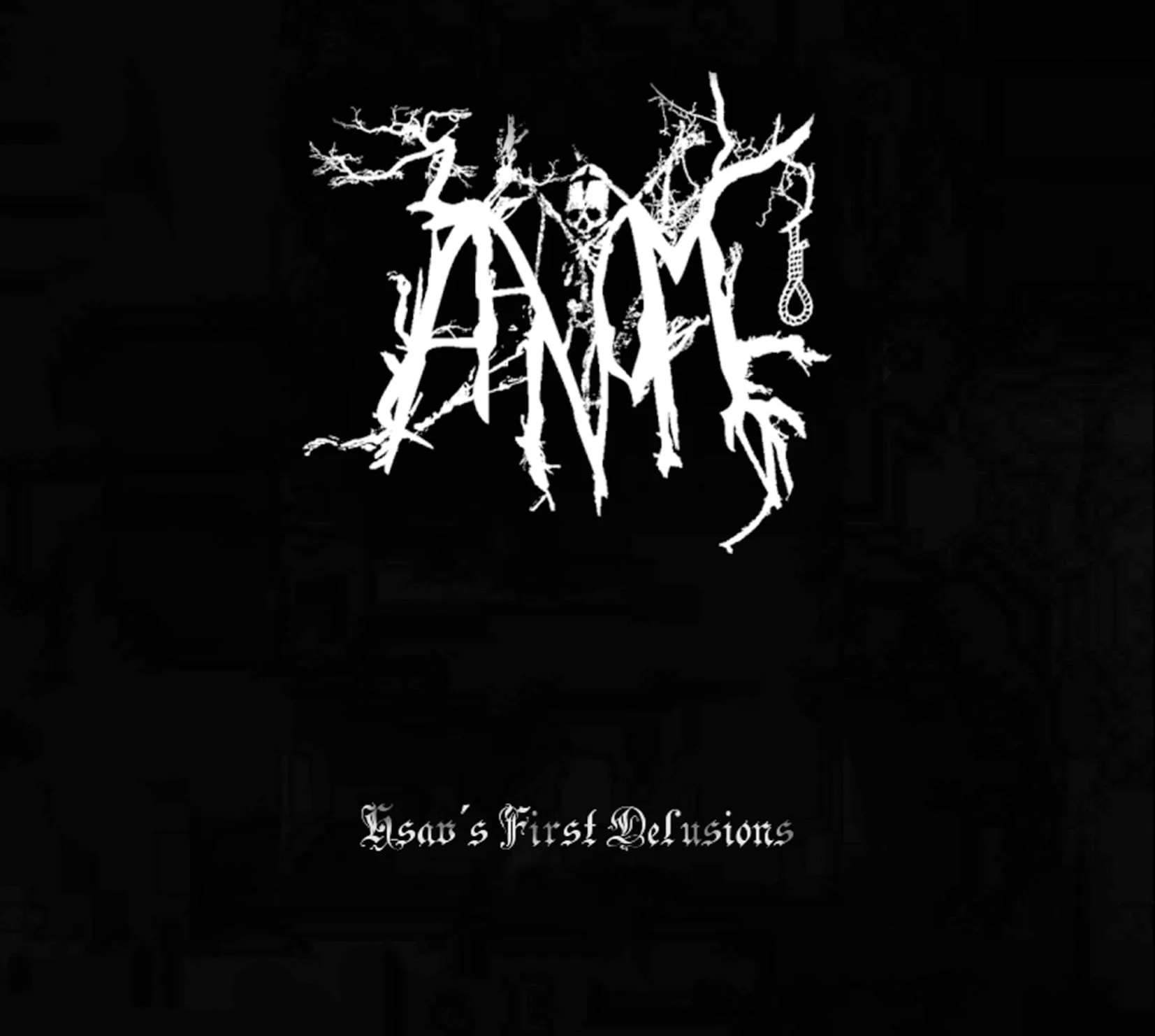 Hsav's First Delusions cover