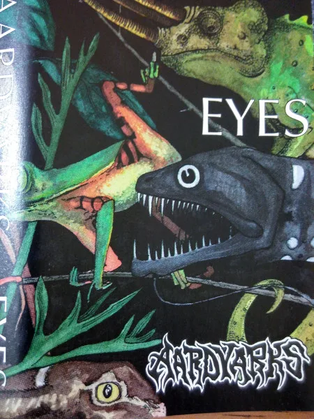 Eyes cover