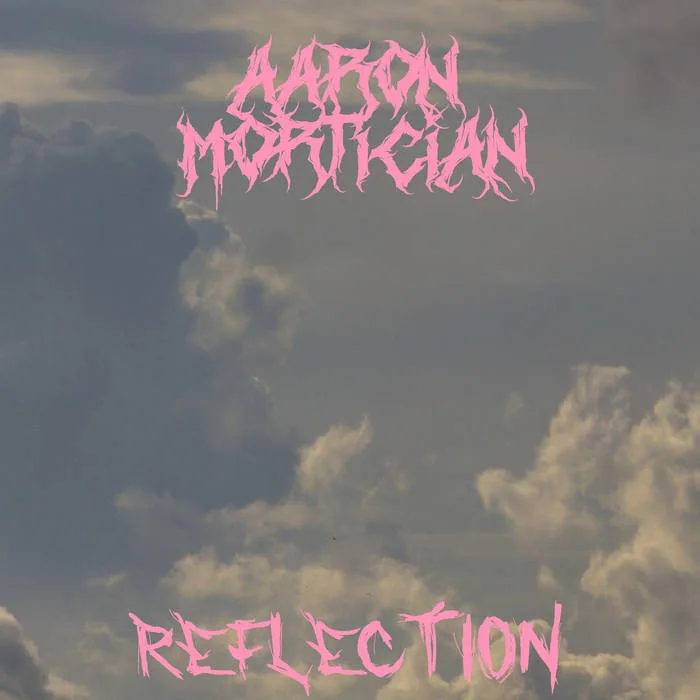 Reflection cover