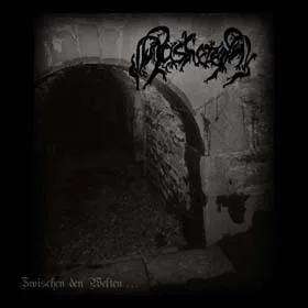 Zwischen den Welten... cover