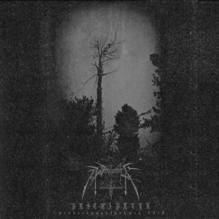 Und mit der Pestkapelle kam der Schwarze Tod cover