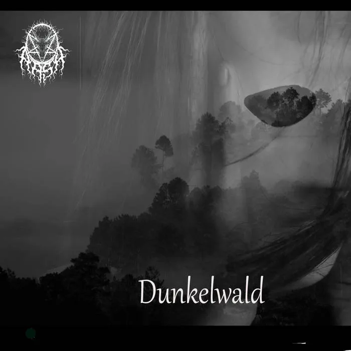 Dunkelwald cover