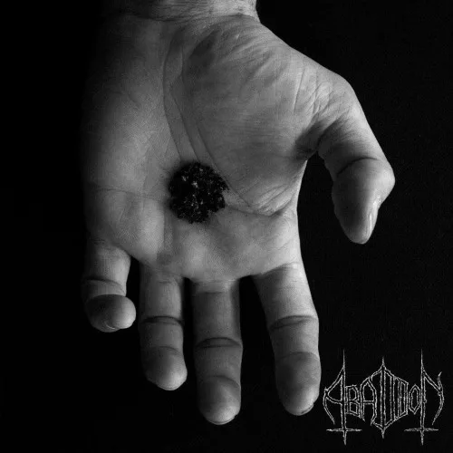 The Black Palm cover