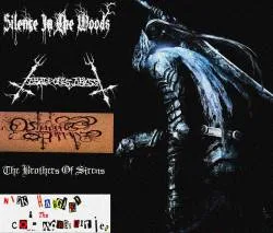 Wings of Black Crusader cover