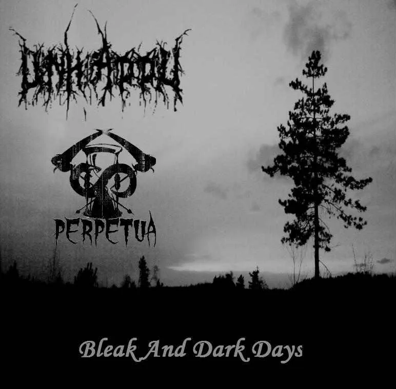 Bleak and Dark Days cover