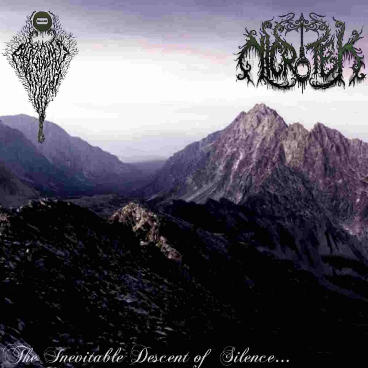 The Inevitable Descent of Silence... cover