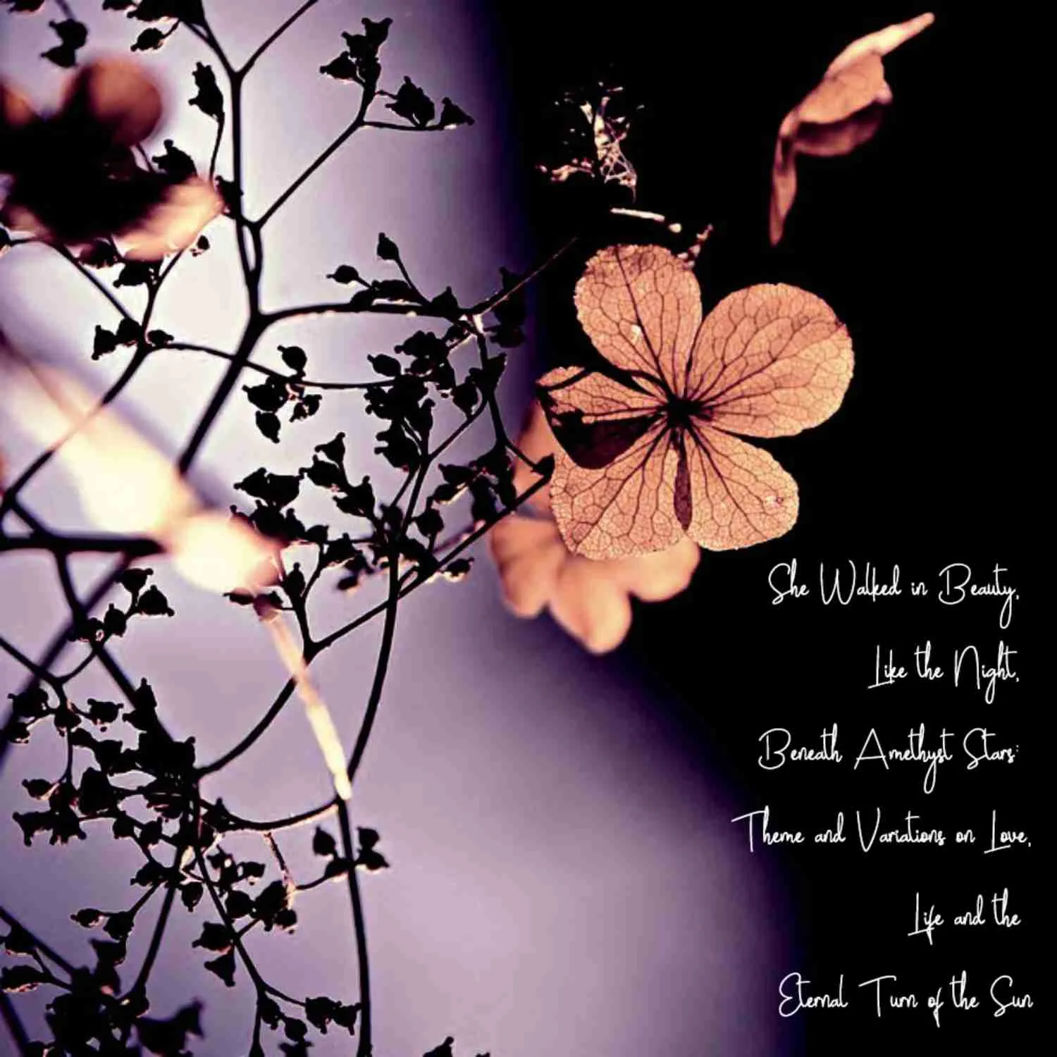 She Walked in Beauty, Like the Night, Beneath Amethyst Stars: Theme and Variations on Love, Life and the Eternal Turn of the Sun cover