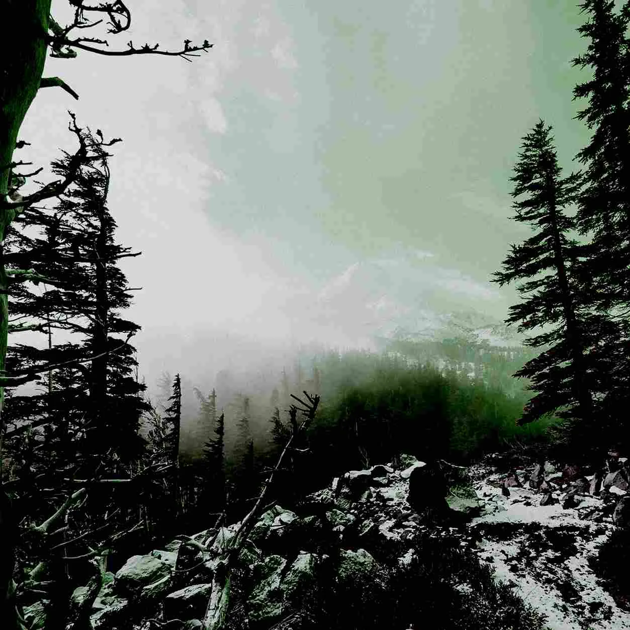 In Praise of Shadows Past cover