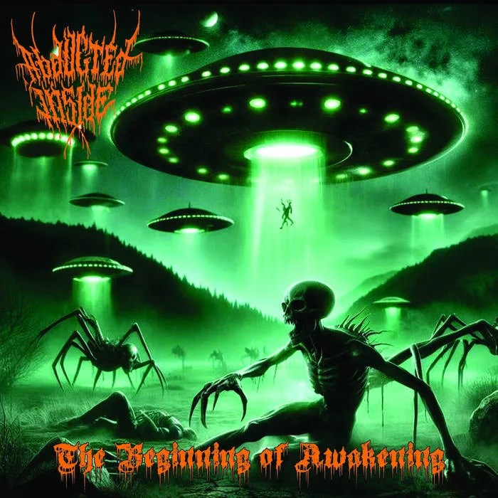 The Beginning of Awakening cover