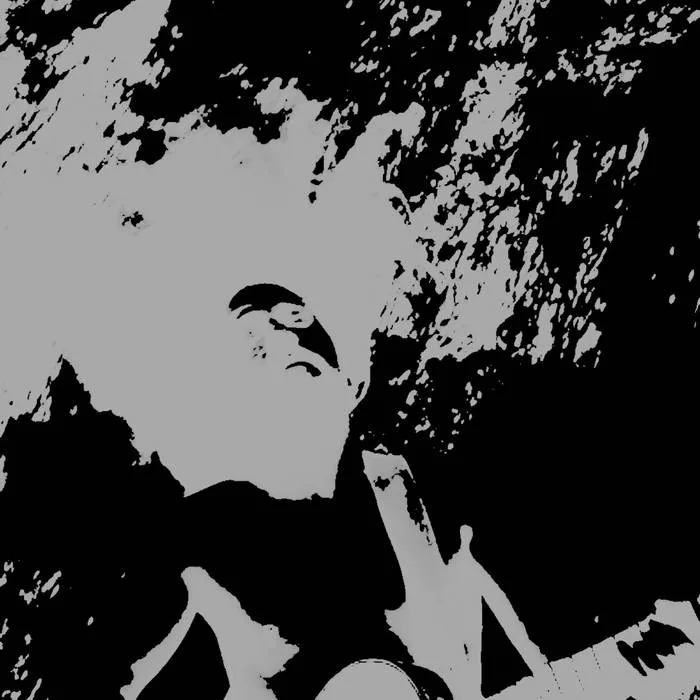 The Folly of Reticence cover