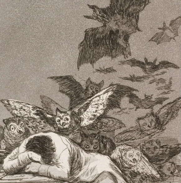 The Sleep of Reason cover