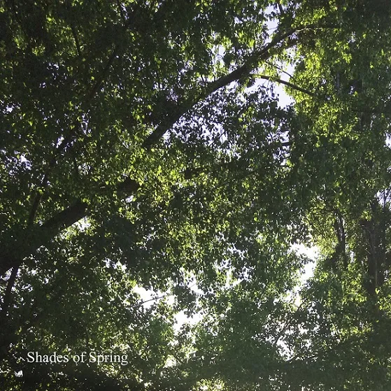 Shades of Spring cover