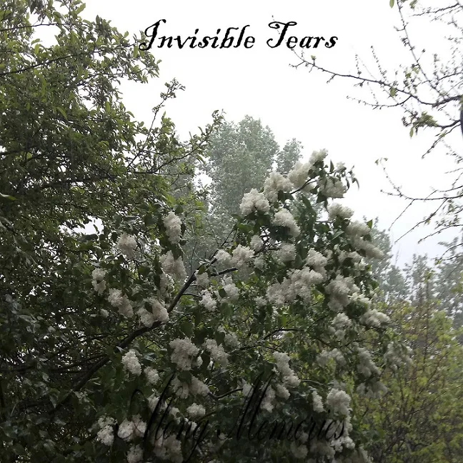 Invisible Tears cover