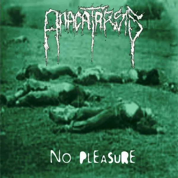 Pleasure Non / No Pleasure cover