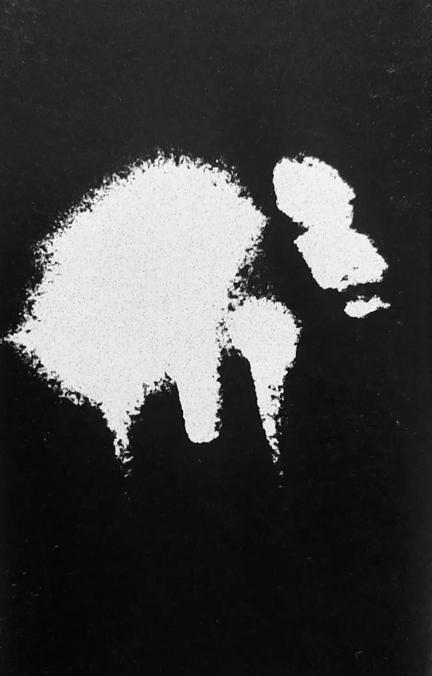 Diabolic Sorcery and Unholy Blood cover