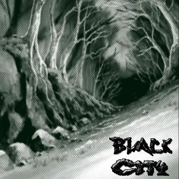 Demo 51 cover