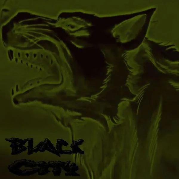 Demo 70 cover