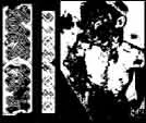 Diseases cover