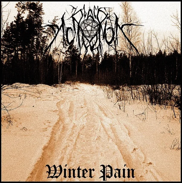Winter Pain cover
