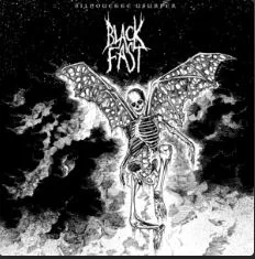 Silhouette Usurper cover