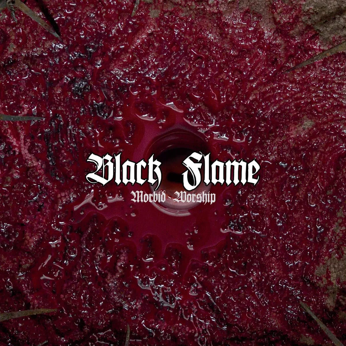 Morbid Worship cover