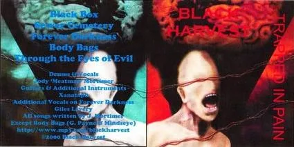 Trapped in Pain cover