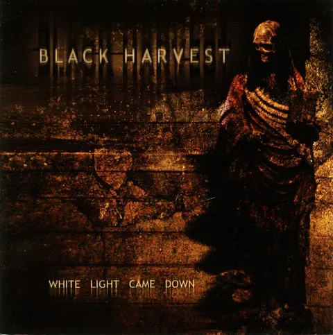 White Light Came Down cover